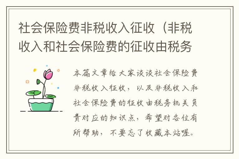 社会保险费非税收入征收（非税收入和社会保险费的征收由税务机关负责）