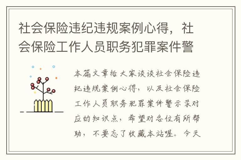 社会保险违纪违规案例心得，社会保险工作人员职务犯罪案件警示录