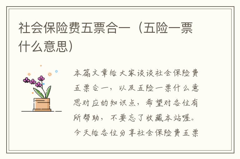 社会保险费五票合一（五险一票什么意思）