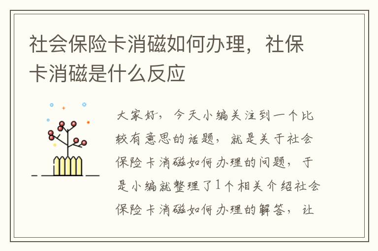 社会保险卡消磁如何办理，社保卡消磁是什么反应