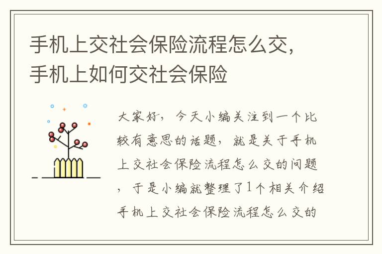 手机上交社会保险流程怎么交，手机上如何交社会保险