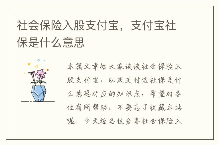 社会保险入股支付宝，支付宝社保是什么意思