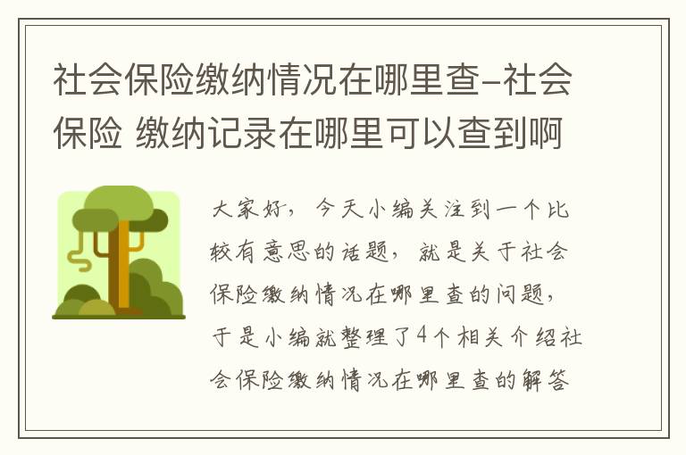 社会保险缴纳情况在哪里查-社会保险 缴纳记录在哪里可以查到啊?