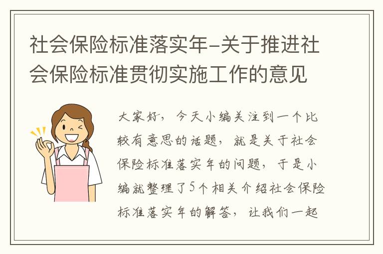 社会保险标准落实年-关于推进社会保险标准贯彻实施工作的意见