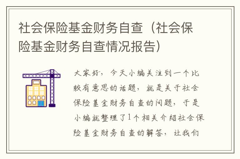 社会保险基金财务自查（社会保险基金财务自查情况报告）