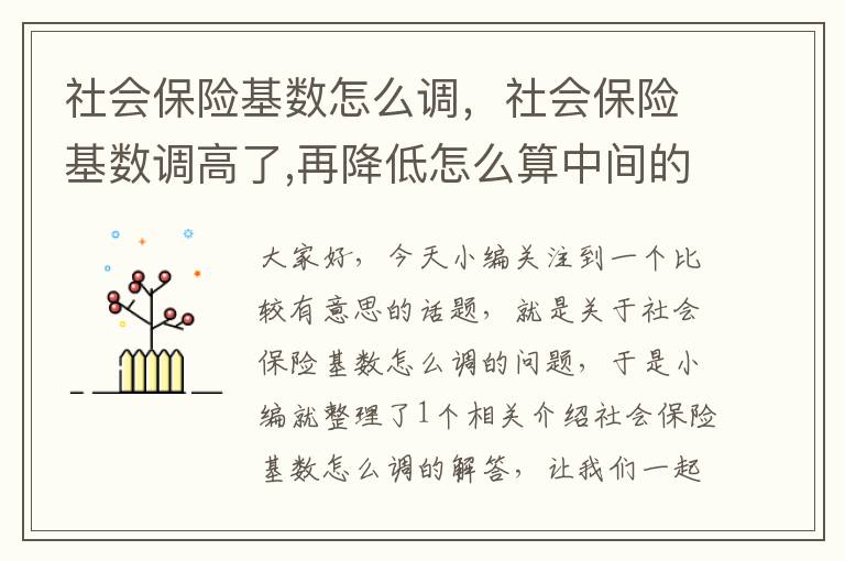 社会保险基数怎么调，社会保险基数调高了,再降低怎么算中间的差额