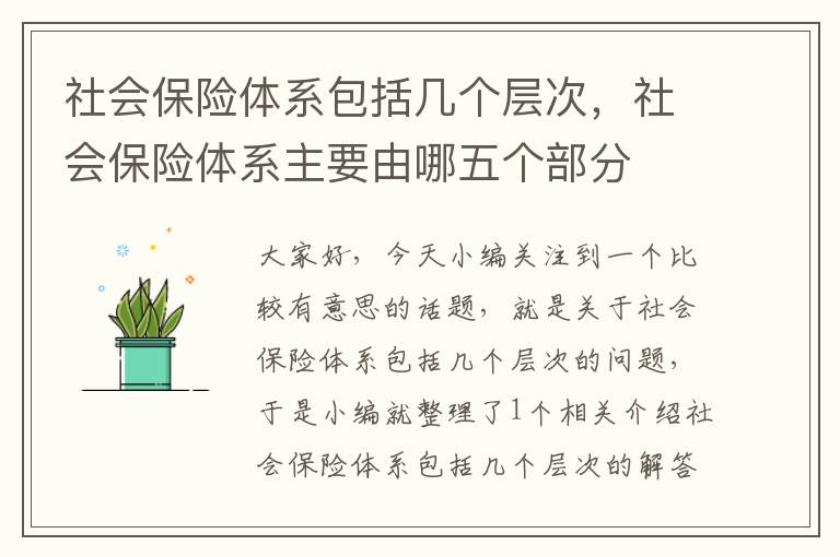 社会保险体系包括几个层次，社会保险体系主要由哪五个部分