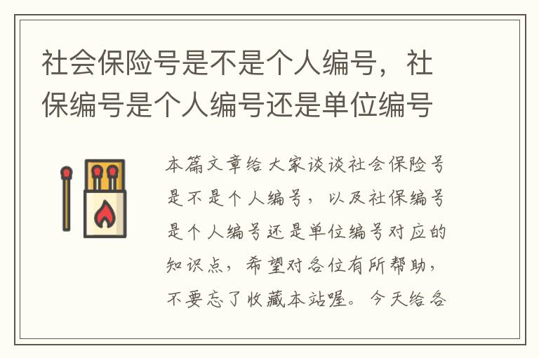 社会保险号是不是个人编号，社保编号是个人编号还是单位编号