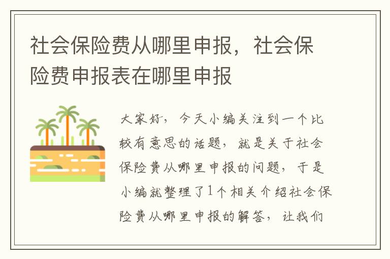 社会保险费从哪里申报，社会保险费申报表在哪里申报