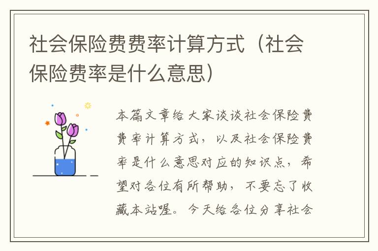 社会保险费费率计算方式（社会保险费率是什么意思）