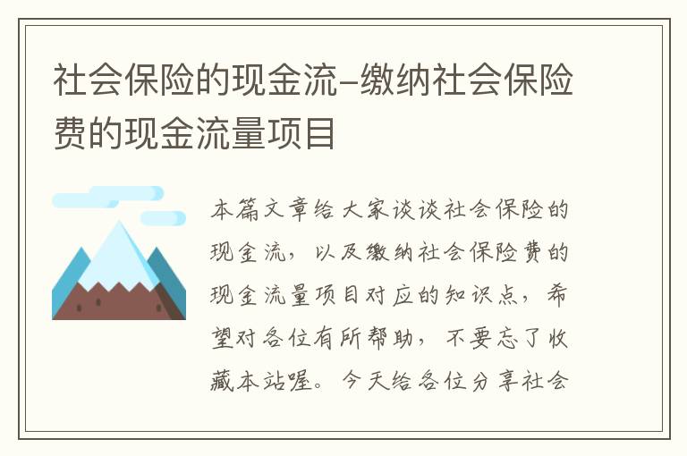 社会保险的现金流-缴纳社会保险费的现金流量项目