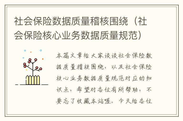 社会保险数据质量稽核围绕（社会保险核心业务数据质量规范）