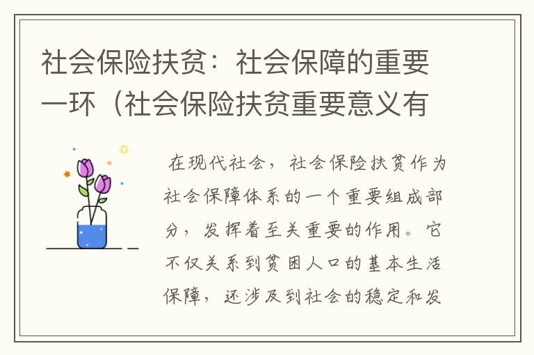 社会保险扶贫：社会保障的重要一环（社会保险扶贫重要意义有哪些）