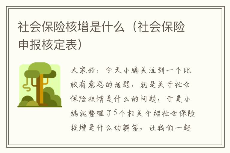 社会保险核增是什么（社会保险申报核定表）