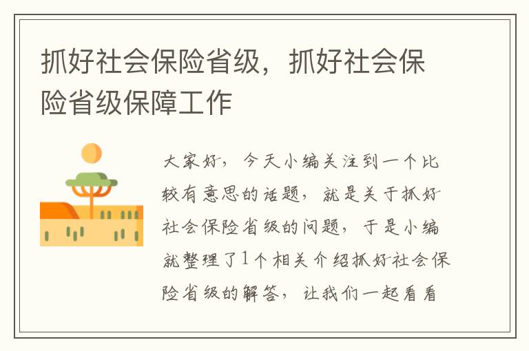 抓好社会保险省级，抓好社会保险省级保障工作