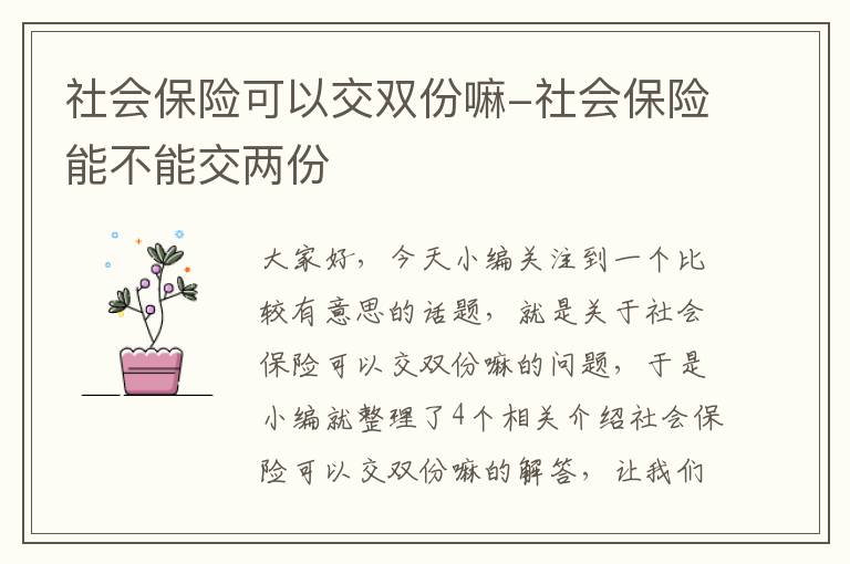 社会保险可以交双份嘛-社会保险能不能交两份