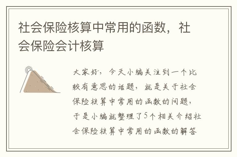 社会保险核算中常用的函数，社会保险会计核算