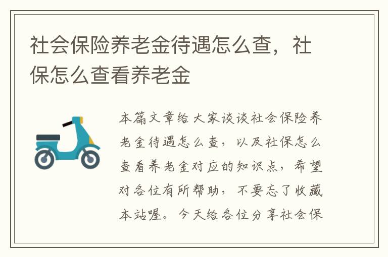 社会保险养老金待遇怎么查，社保怎么查看养老金