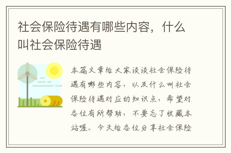 社会保险待遇有哪些内容，什么叫社会保险待遇