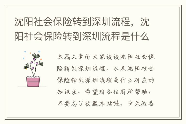 沈阳社会保险转到深圳流程，沈阳社会保险转到深圳流程是什么