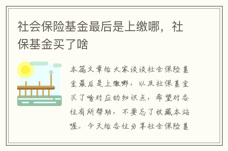 社会保险基金最后是上缴哪，社保基金买了啥