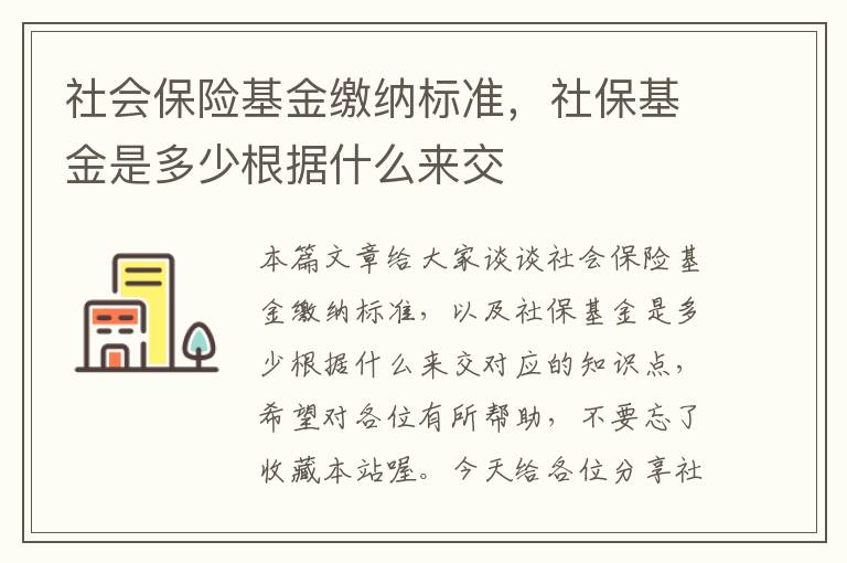 社会保险基金缴纳标准，社保基金是多少根据什么来交