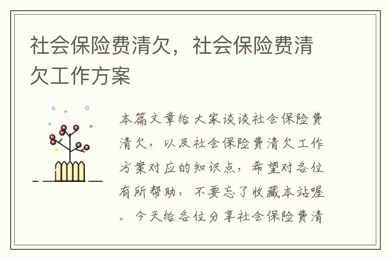 社会保险费清欠，社会保险费清欠工作方案