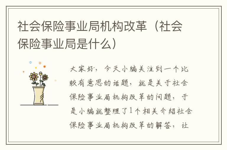 社会保险事业局机构改革（社会保险事业局是什么）