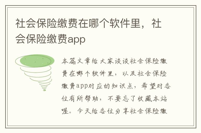 社会保险缴费在哪个软件里，社会保险缴费app