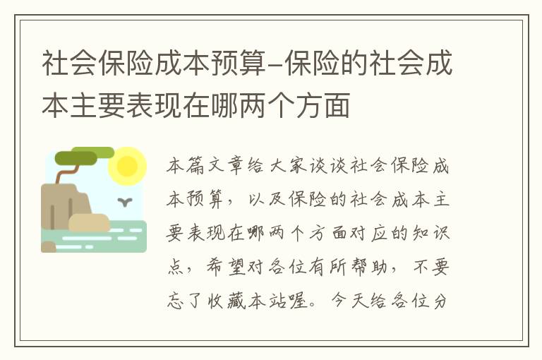 社会保险成本预算-保险的社会成本主要表现在哪两个方面