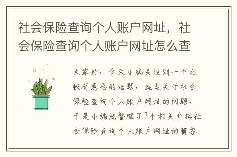 社会保险查询个人账户网址，社会保险查询个人账户网址怎么查