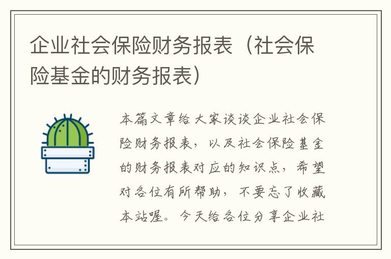 企业社会保险财务报表（社会保险基金的财务报表）