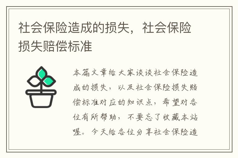 社会保险造成的损失，社会保险损失赔偿标准