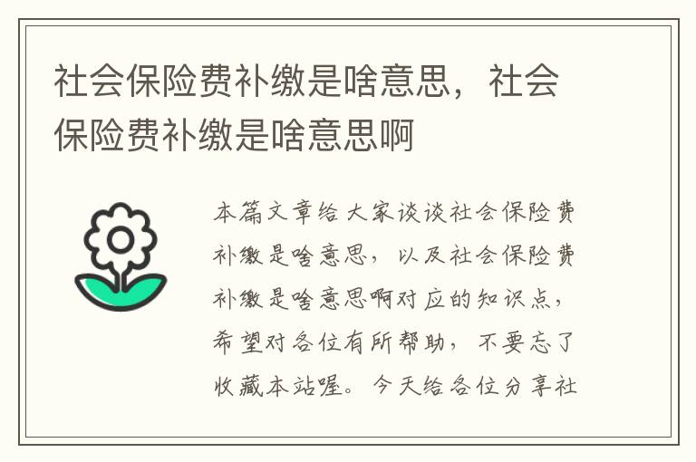 社会保险费补缴是啥意思，社会保险费补缴是啥意思啊