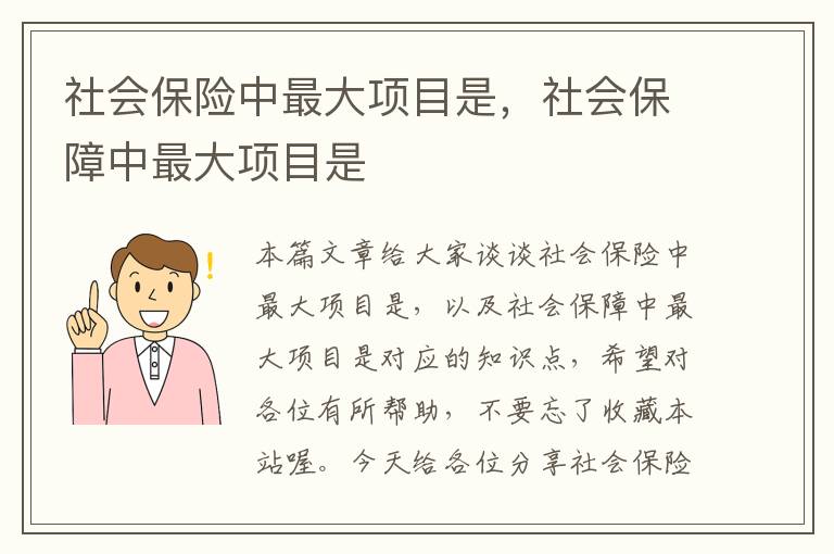 社会保险中最大项目是，社会保障中最大项目是