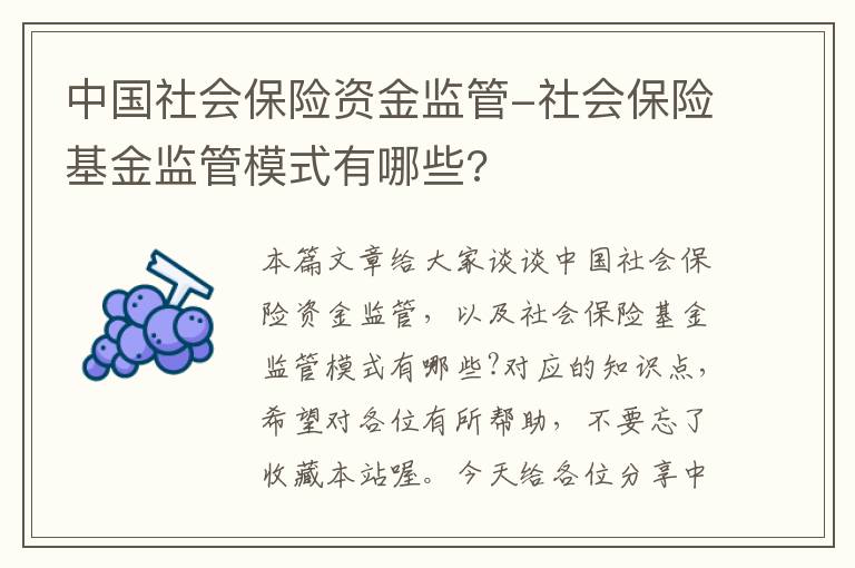 中国社会保险资金监管-社会保险基金监管模式有哪些?