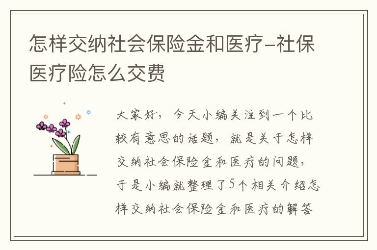 怎样交纳社会保险金和医疗-社保医疗险怎么交费