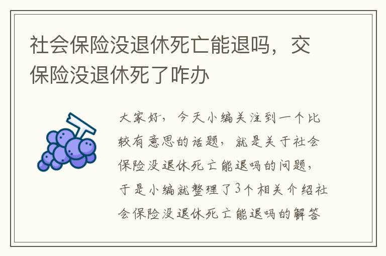 社会保险没退休死亡能退吗，交保险没退休死了咋办