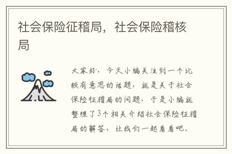 社会保险征稽局，社会保险稽核局