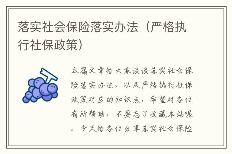 落实社会保险落实办法（严格执行社保政策）