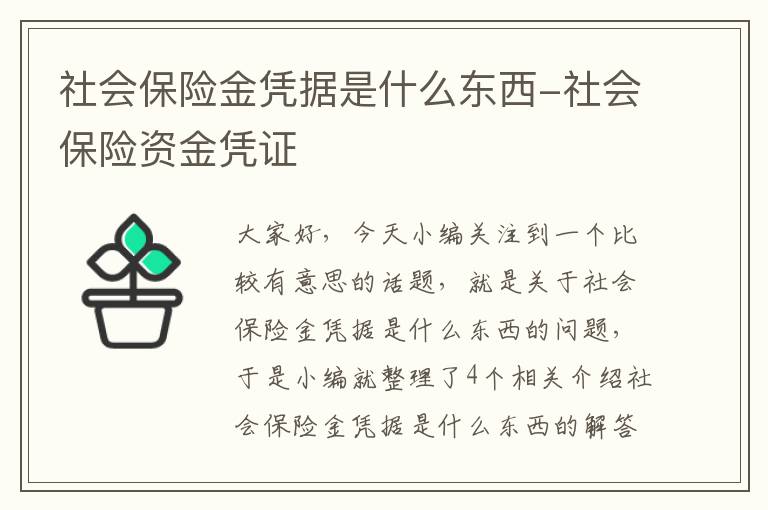 社会保险金凭据是什么东西-社会保险资金凭证