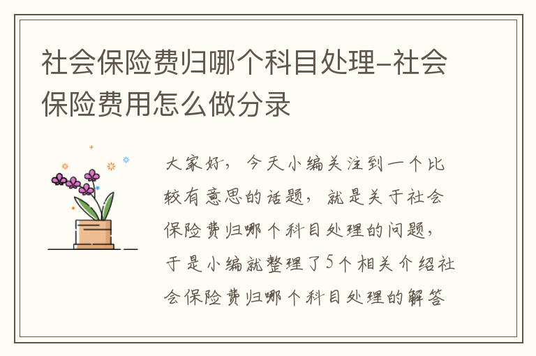 社会保险费归哪个科目处理-社会保险费用怎么做分录