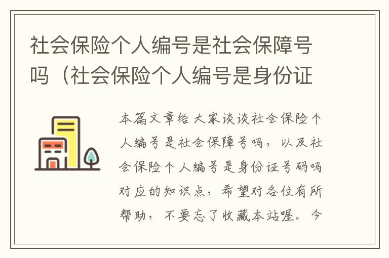 社会保险个人编号是社会保障号吗（社会保险个人编号是身份证号码吗）