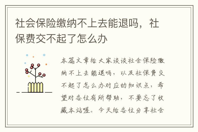 社会保险缴纳不上去能退吗，社保费交不起了怎么办