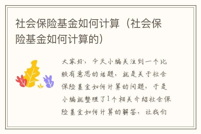 社会保险基金如何计算（社会保险基金如何计算的）