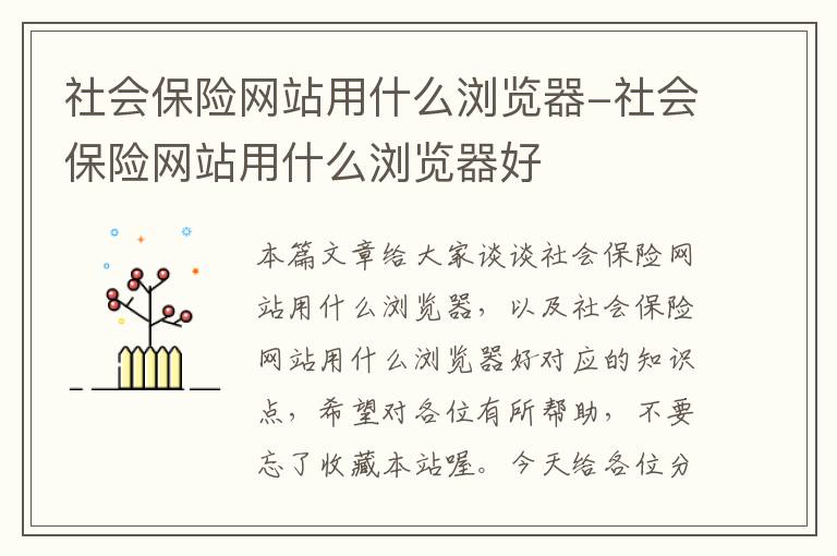 社会保险网站用什么浏览器-社会保险网站用什么浏览器好