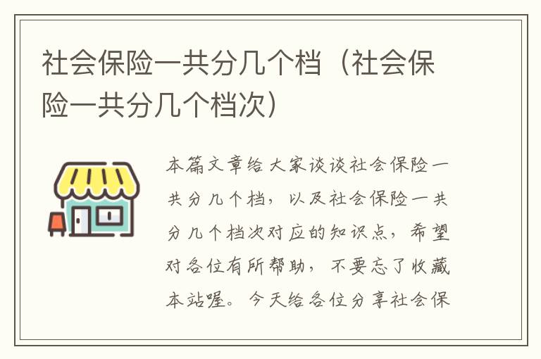 社会保险一共分几个档（社会保险一共分几个档次）