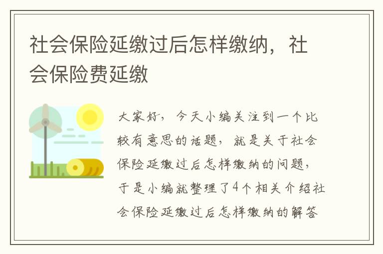 社会保险延缴过后怎样缴纳，社会保险费延缴