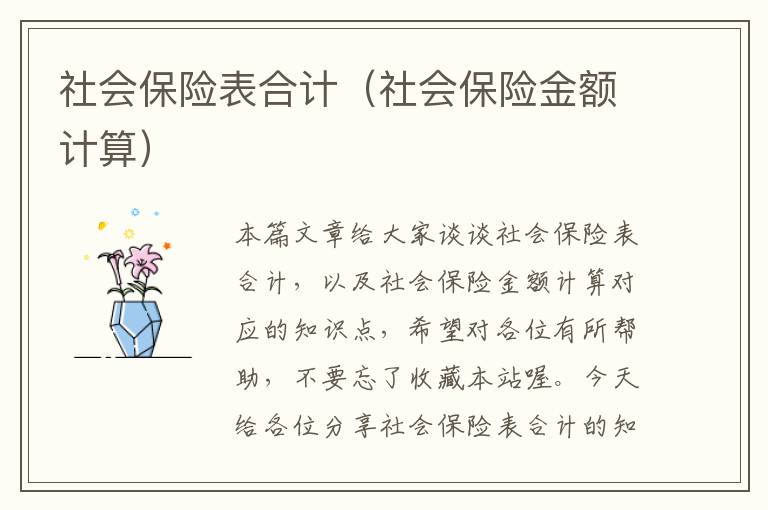 社会保险表合计（社会保险金额计算）