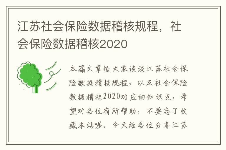 江苏社会保险数据稽核规程，社会保险数据稽核2020